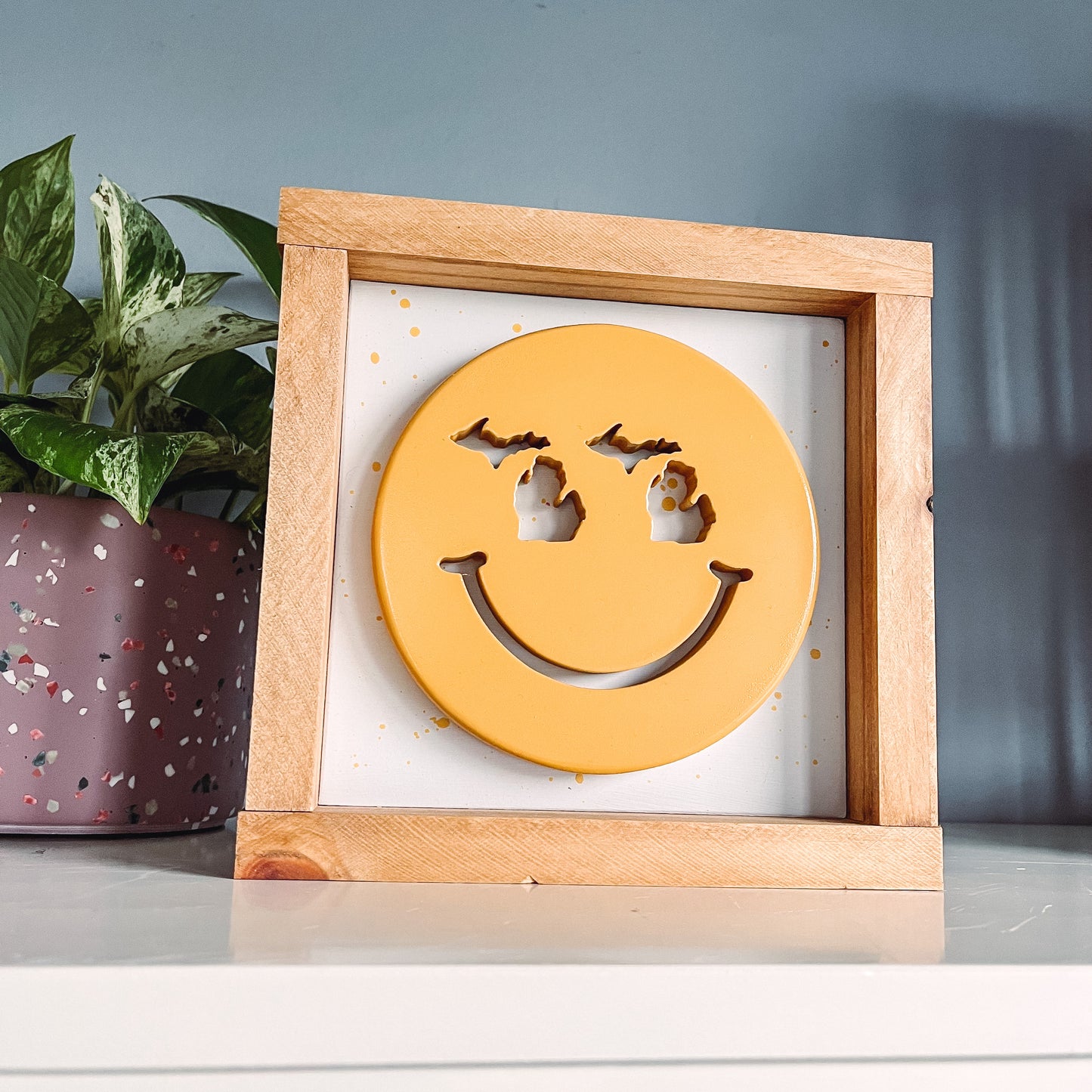 Michigan Smiley Sign
