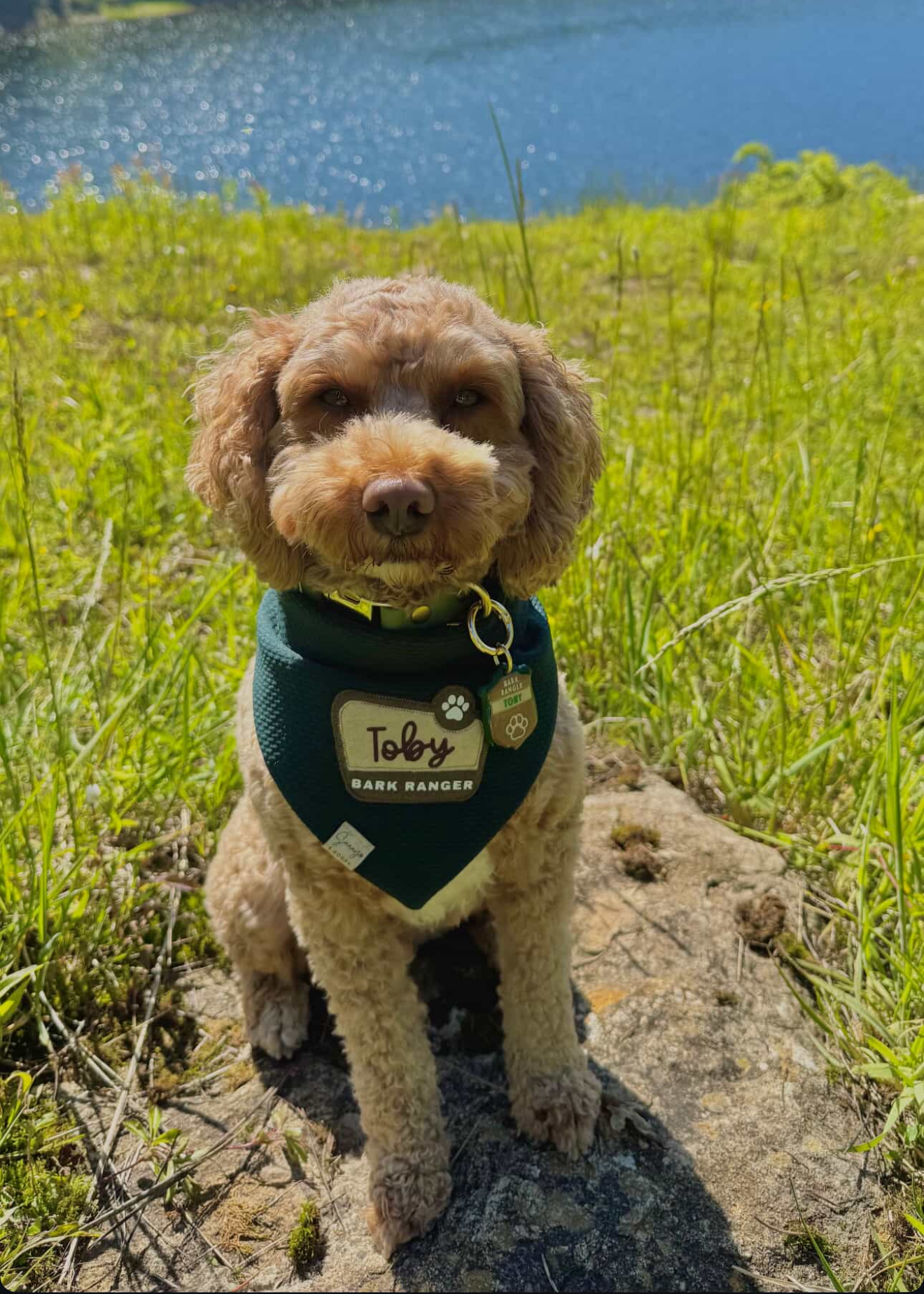 Toby’s Portrait