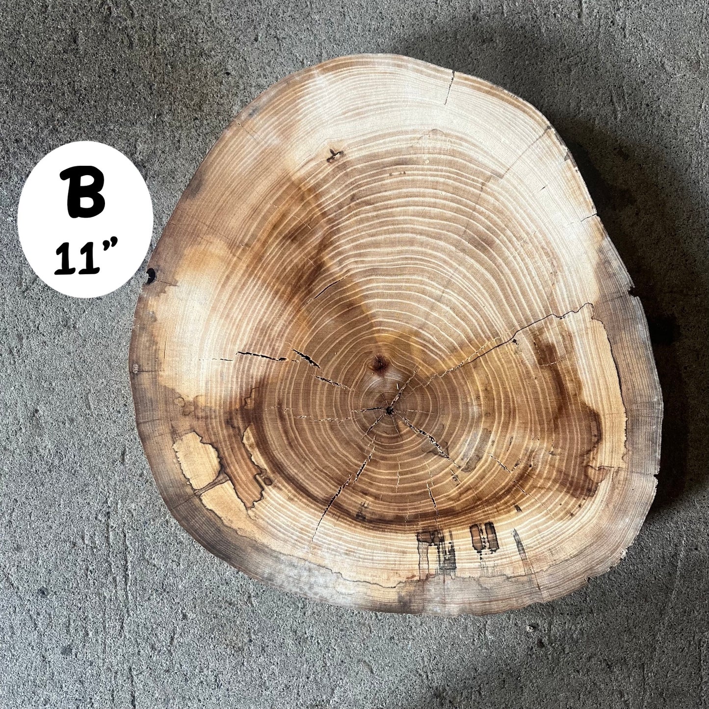 Custom Pet Portrait - On a Live Edge Round (Shipping May 31st 2025)