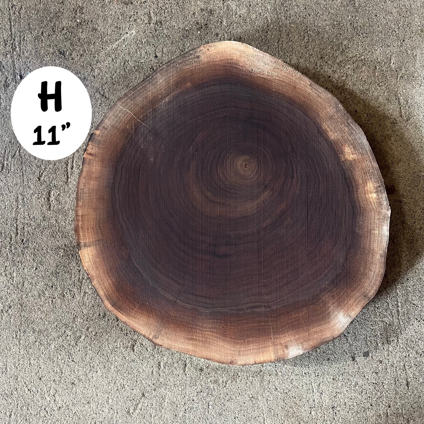 Custom Pet Portrait - On a Live Edge Round (Shipping May 31st 2025)