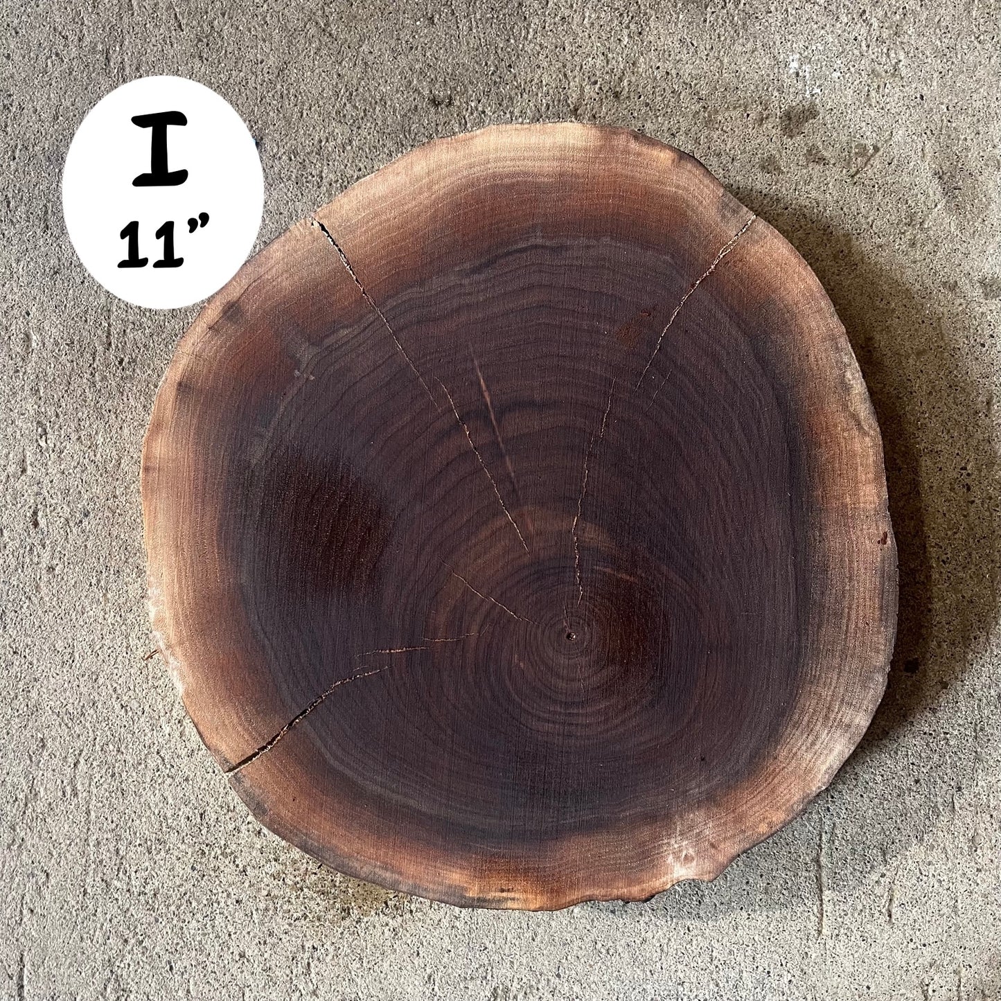 Custom Pet Portrait - On a Live Edge Round (Shipping May 31st 2025)