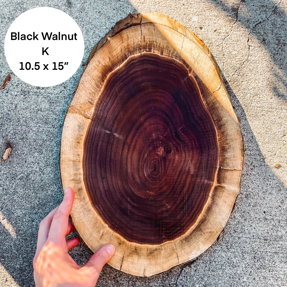 Custom Pet Portrait - On a Live Edge Round (Shipping May 31st 2025)