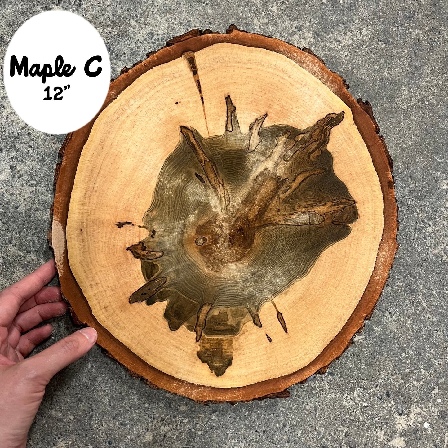 Custom Pet Portrait - On a Live Edge Round (Shipping May 31st 2025)