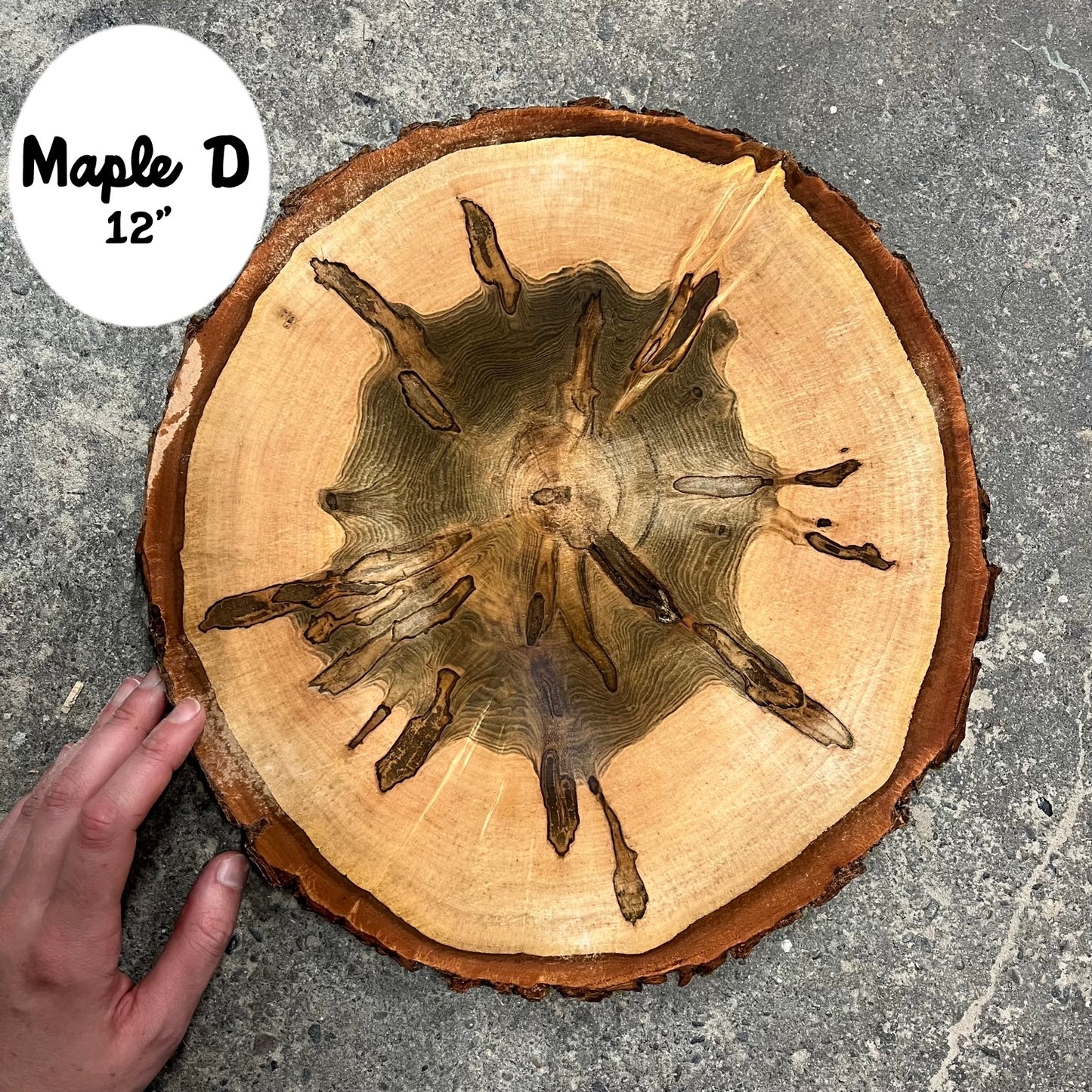Custom Pet Portrait - On a Live Edge Round (Shipping May 31st 2025)