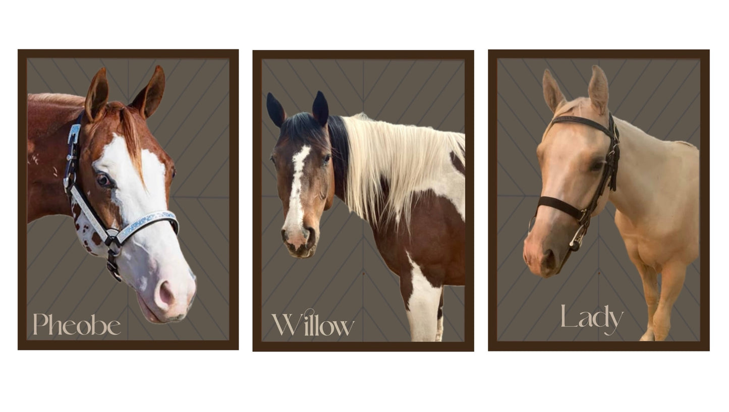 Willow, Phoebe and Lady Custom Portrait