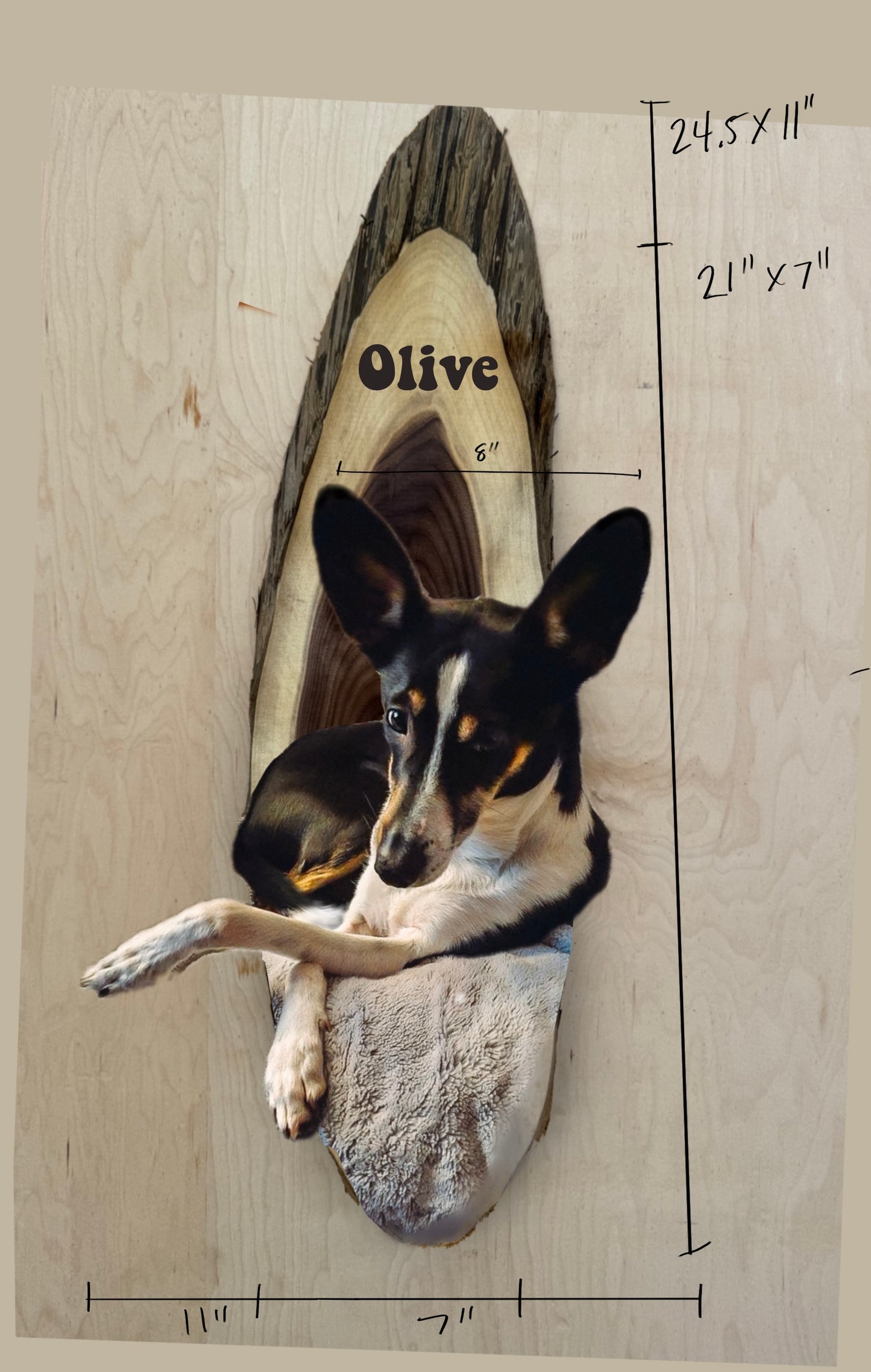 Custom Portrait for Olive deposit #3;