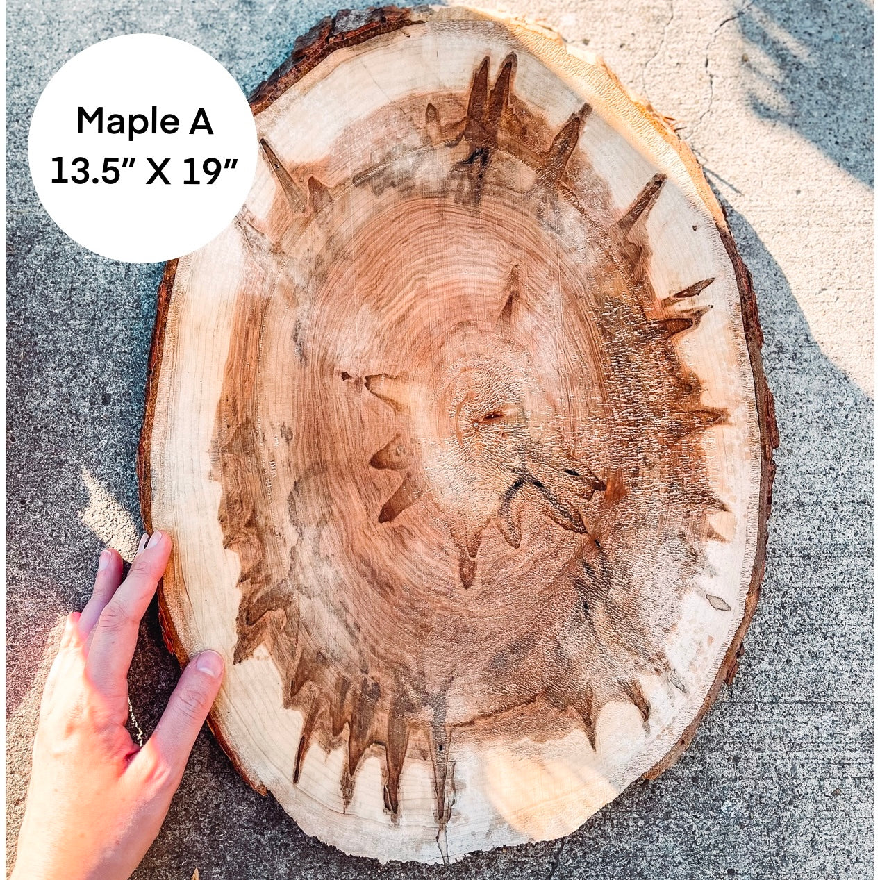 Custom Pet Portrait - On a Live Edge Round (Shipping February 31st)