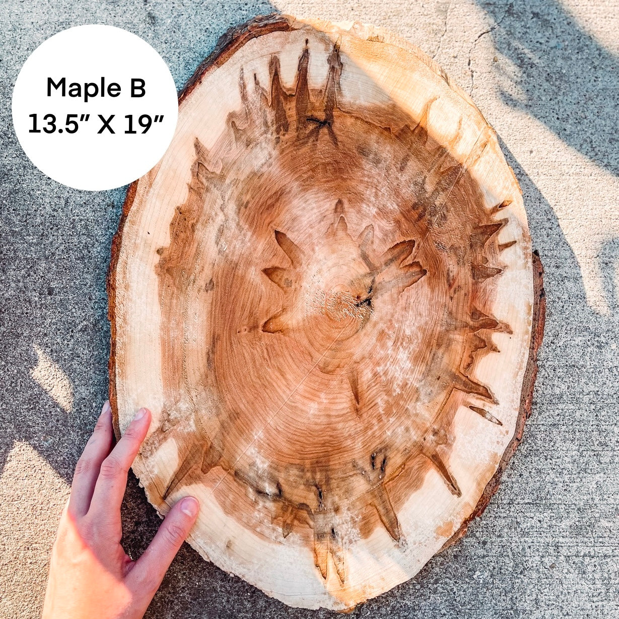 Custom Pet Portrait - On a Live Edge Round (Shipping February 31st)