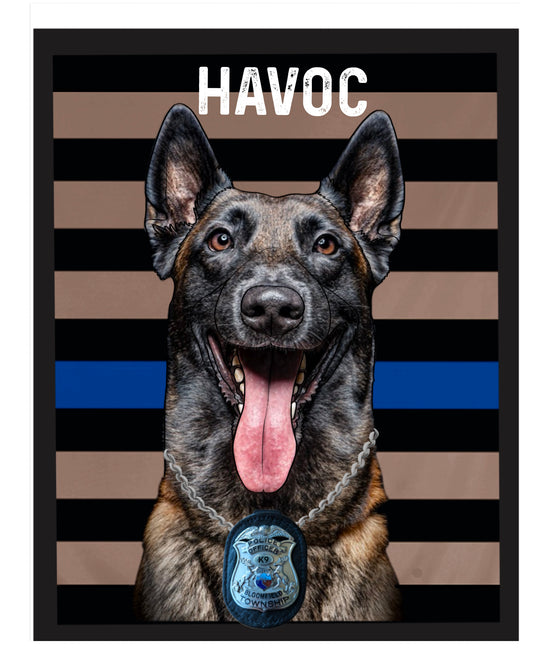 Havoc the K9