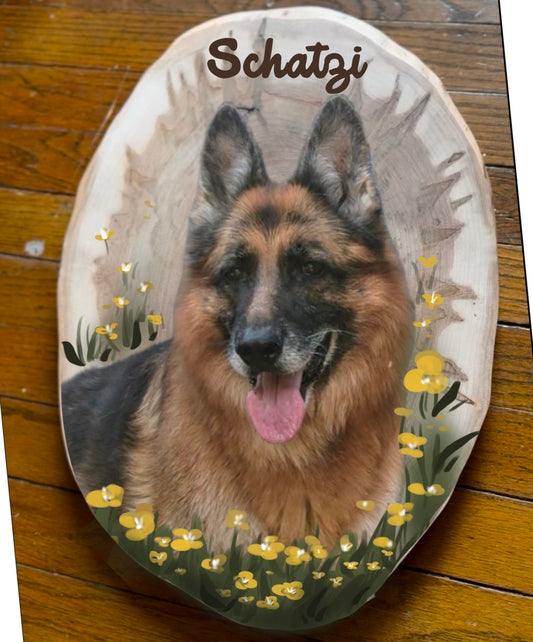 Schatzi the German Shepherd Portrait