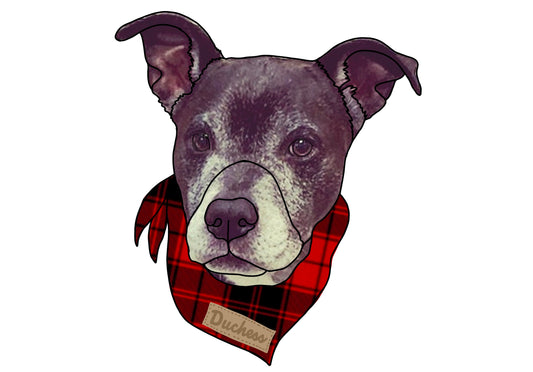 Christmas Ornament for Duchess