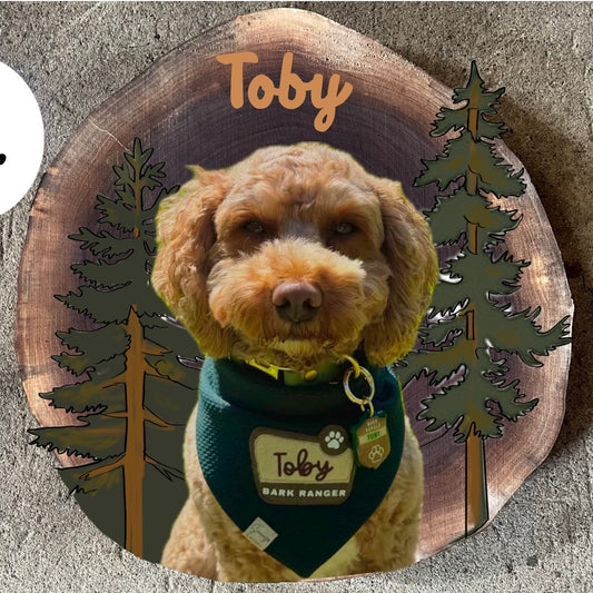 Toby’s Portrait