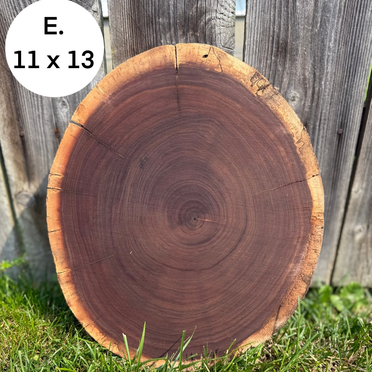 Custom Pet Portrait - On a Live Edge Round (Shipping October 31st 2025)