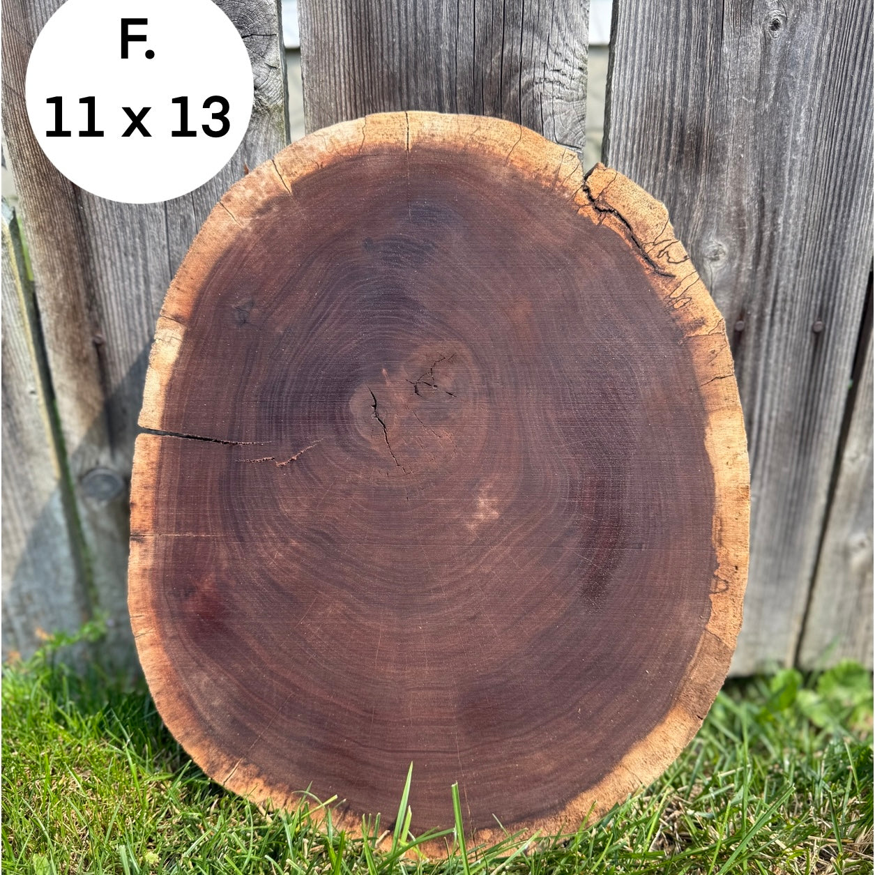 Custom Pet Portrait - On a Live Edge Round (Shipping October 31st 2025)