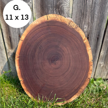 Custom Pet Portrait - On a Live Edge Round (Shipping October 31st 2025)