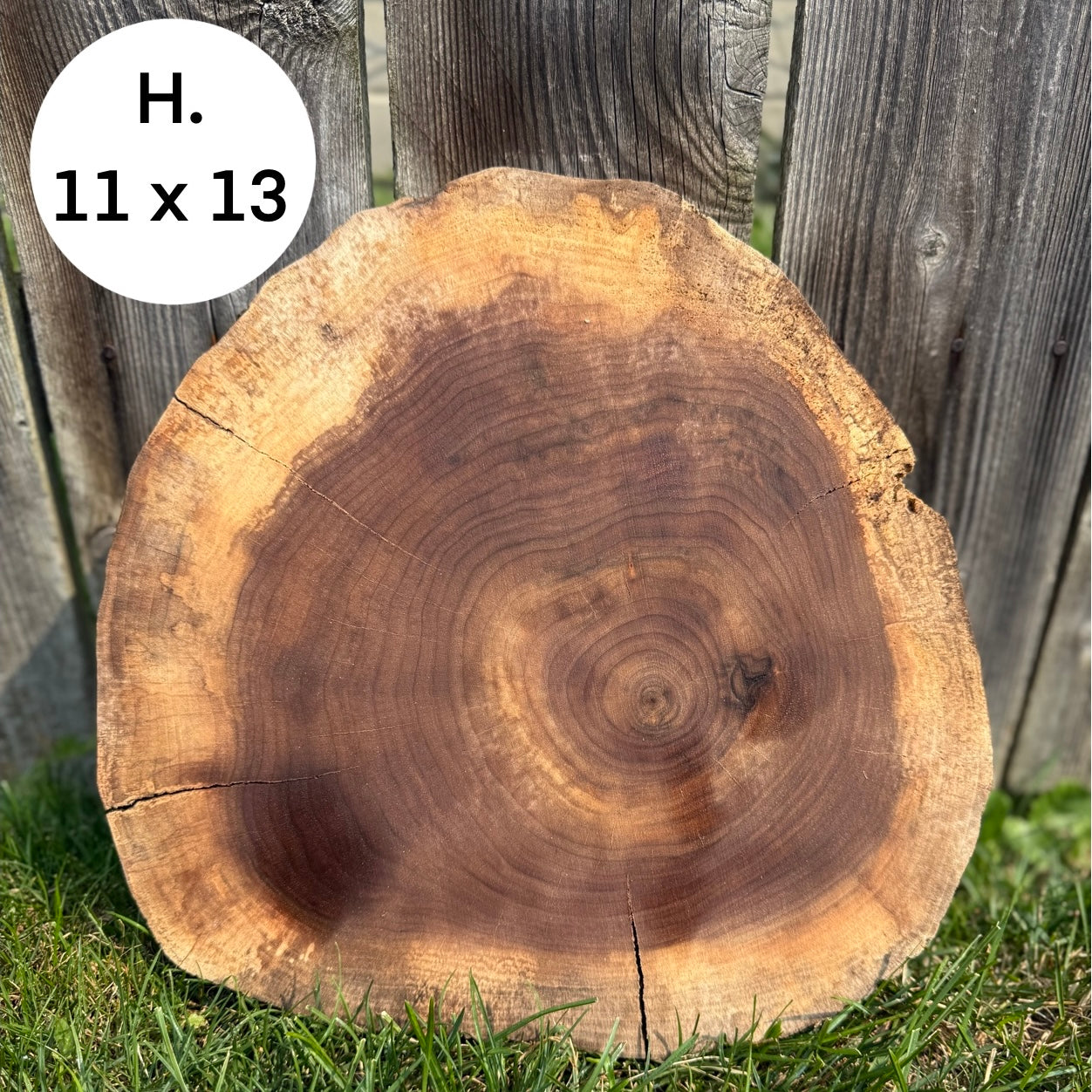 Custom Pet Portrait - On a Live Edge Round (Shipping October 31st 2025)