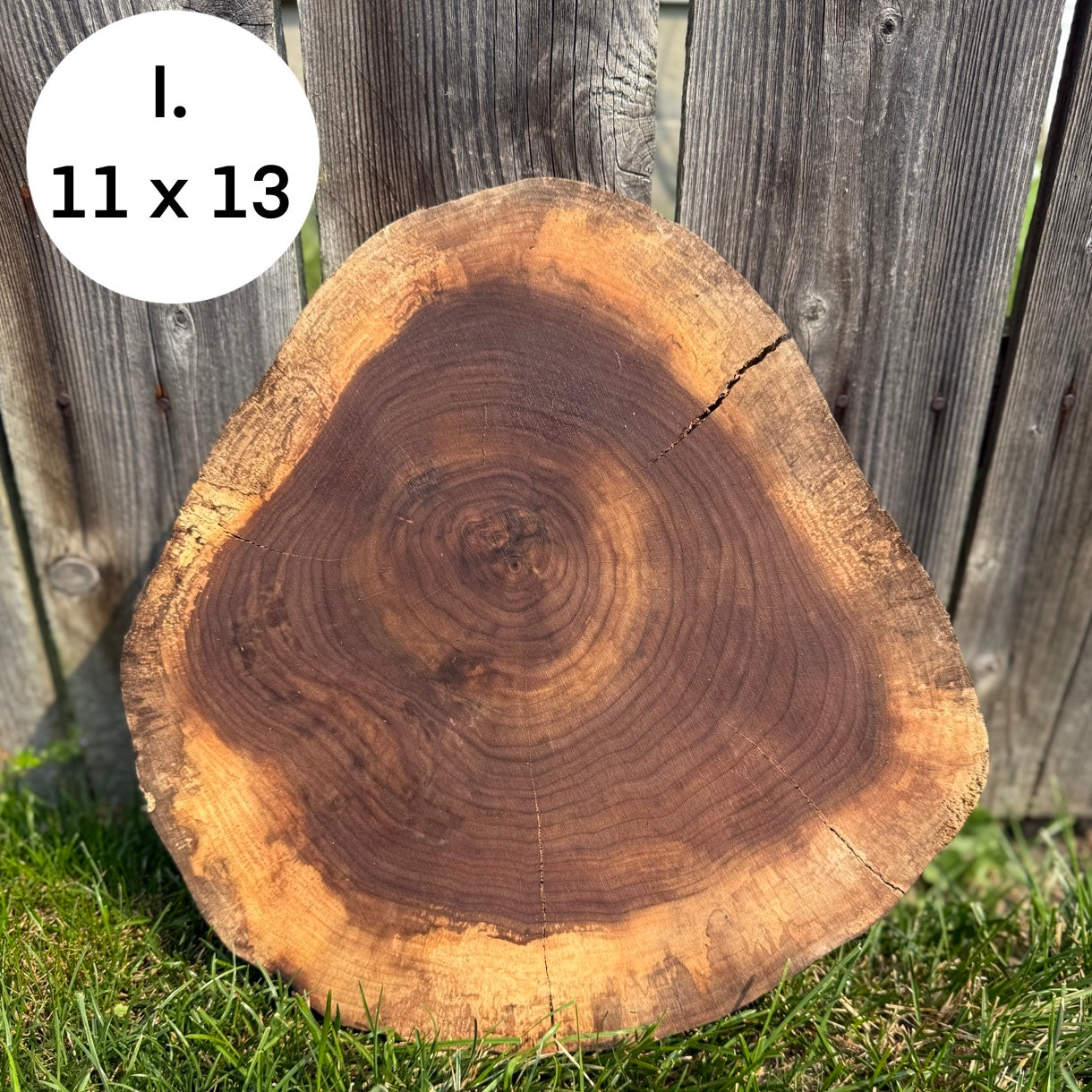 Custom Pet Portrait - On a Live Edge Round (Shipping October 31st 2025)