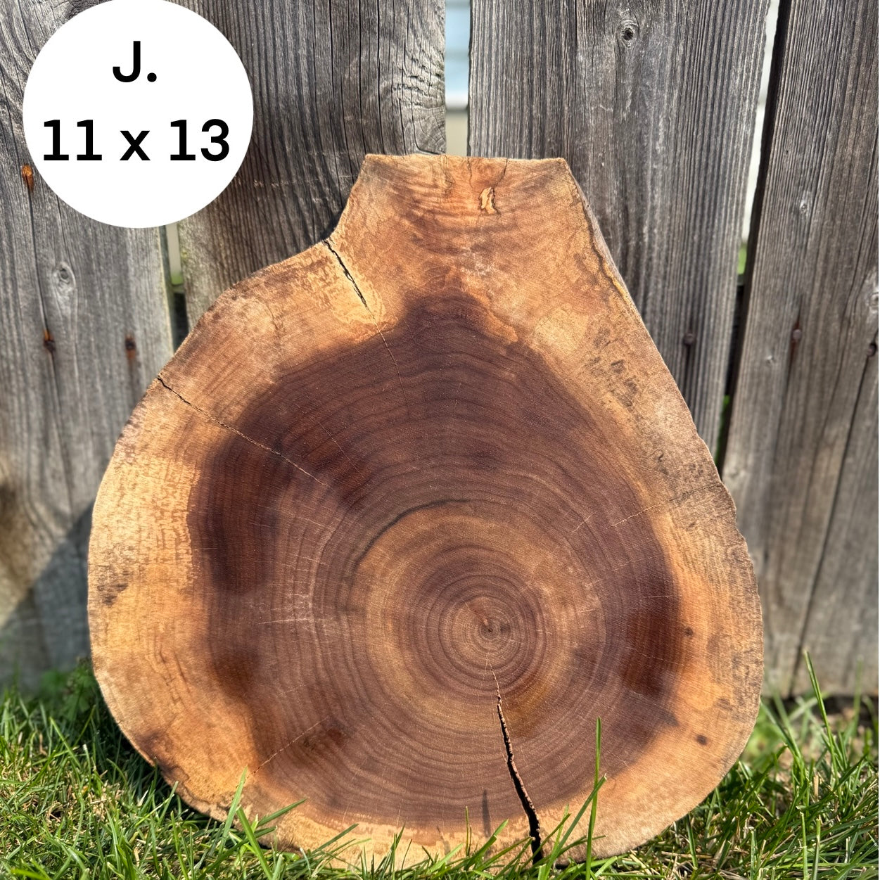 Custom Pet Portrait - On a Live Edge Round (Shipping October 31st 2025)