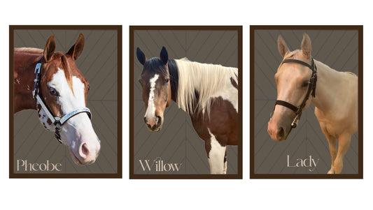 Willow, Phoebe and Lady Custom Portrait