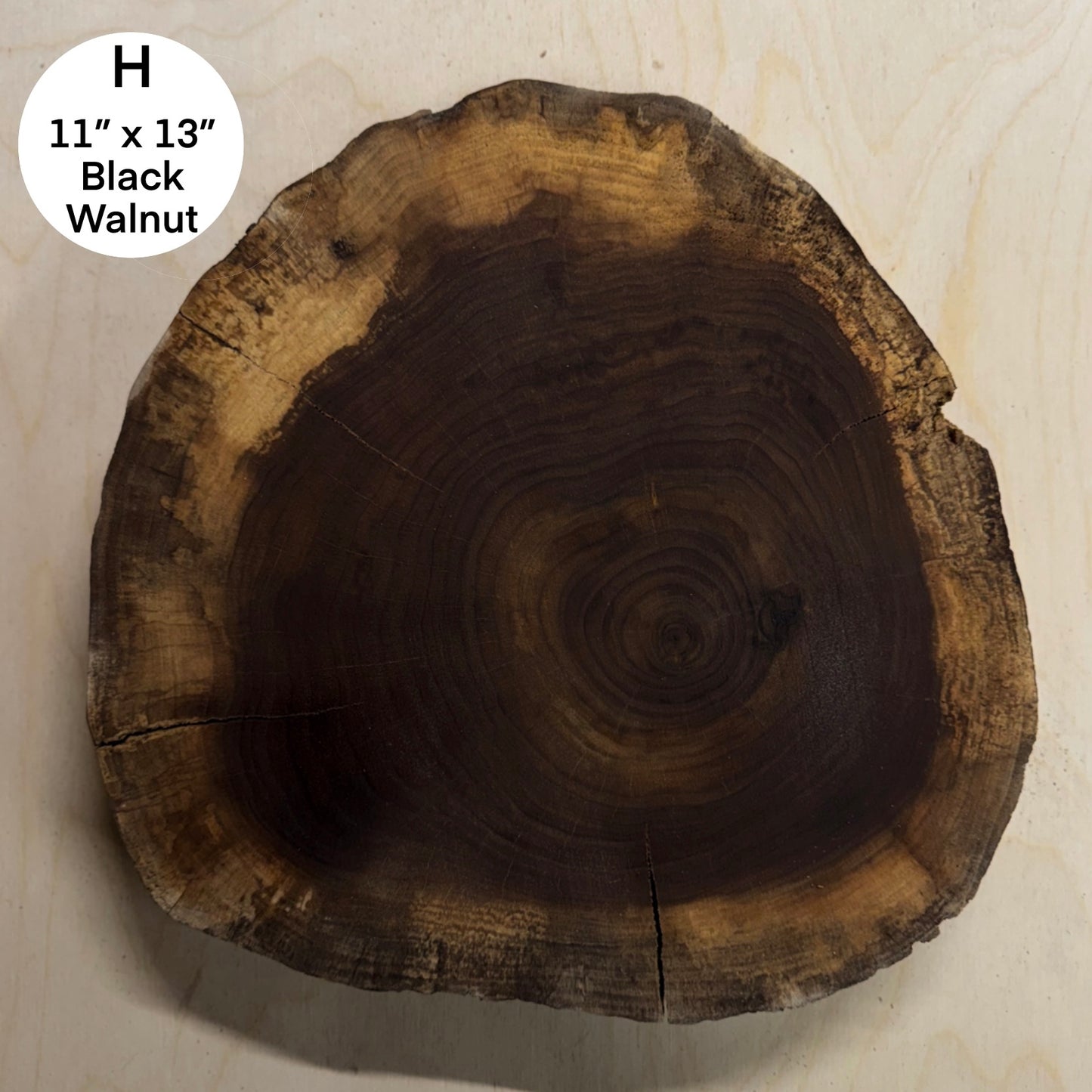 Custom Pet Portrait - On a Live Edge Round (Shipping June 2026)