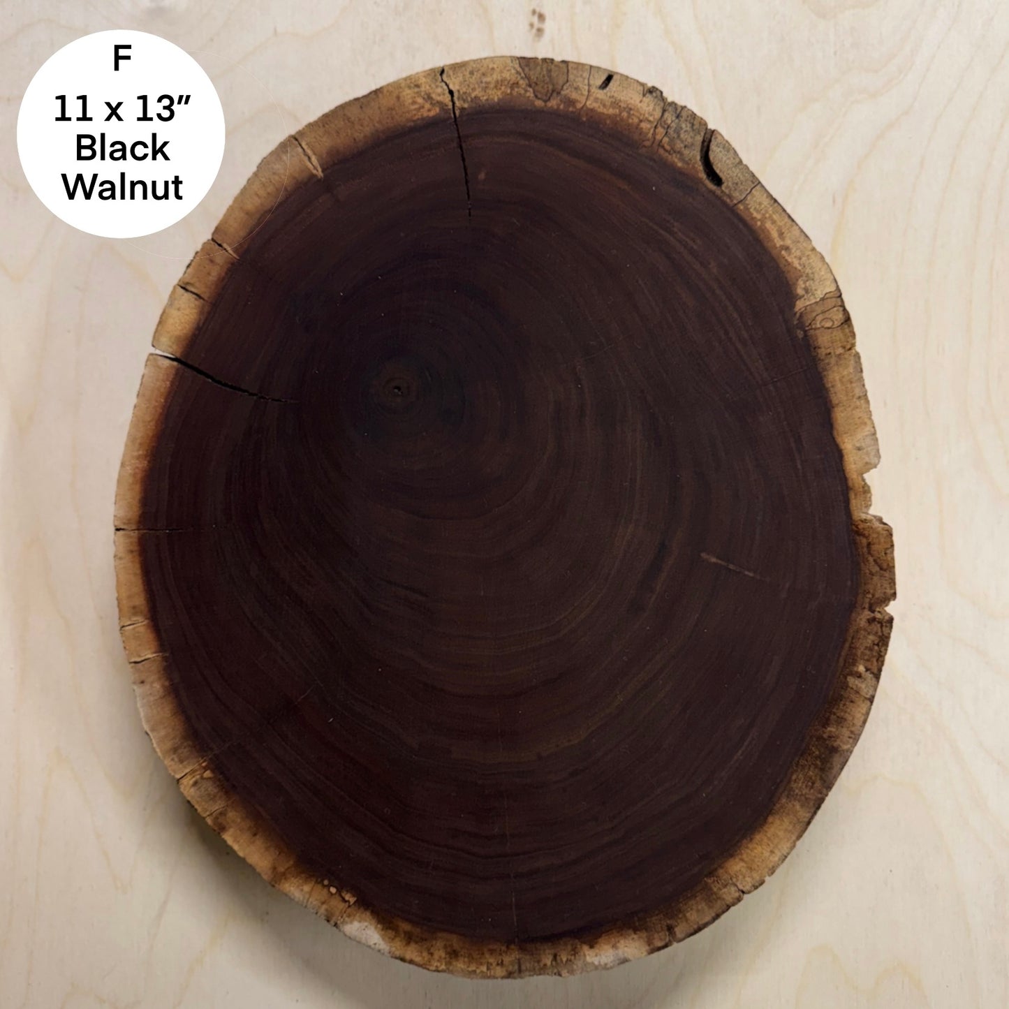 Custom Pet Portrait - On a Live Edge Round (Shipping June 2026)