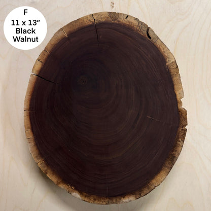 Custom Pet Portrait - On a Live Edge Round (Shipping June 2026)