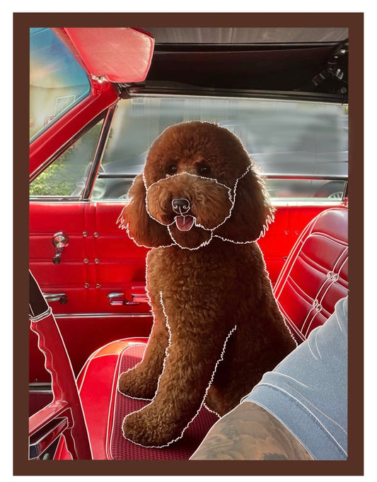 Portrait of Larry the Pup