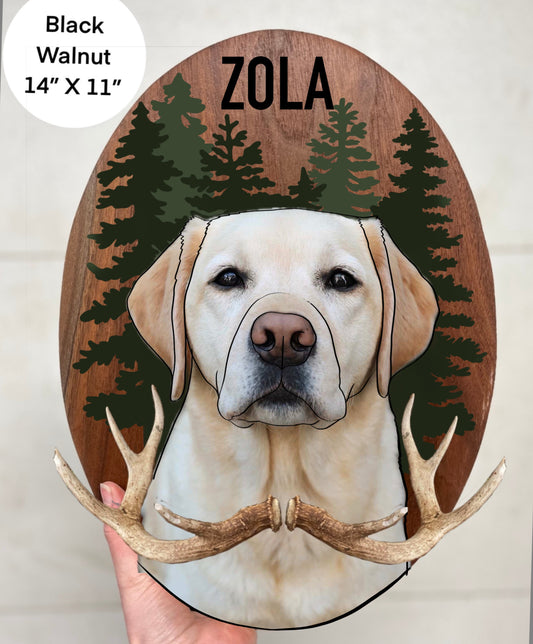 Zola’s Portrait