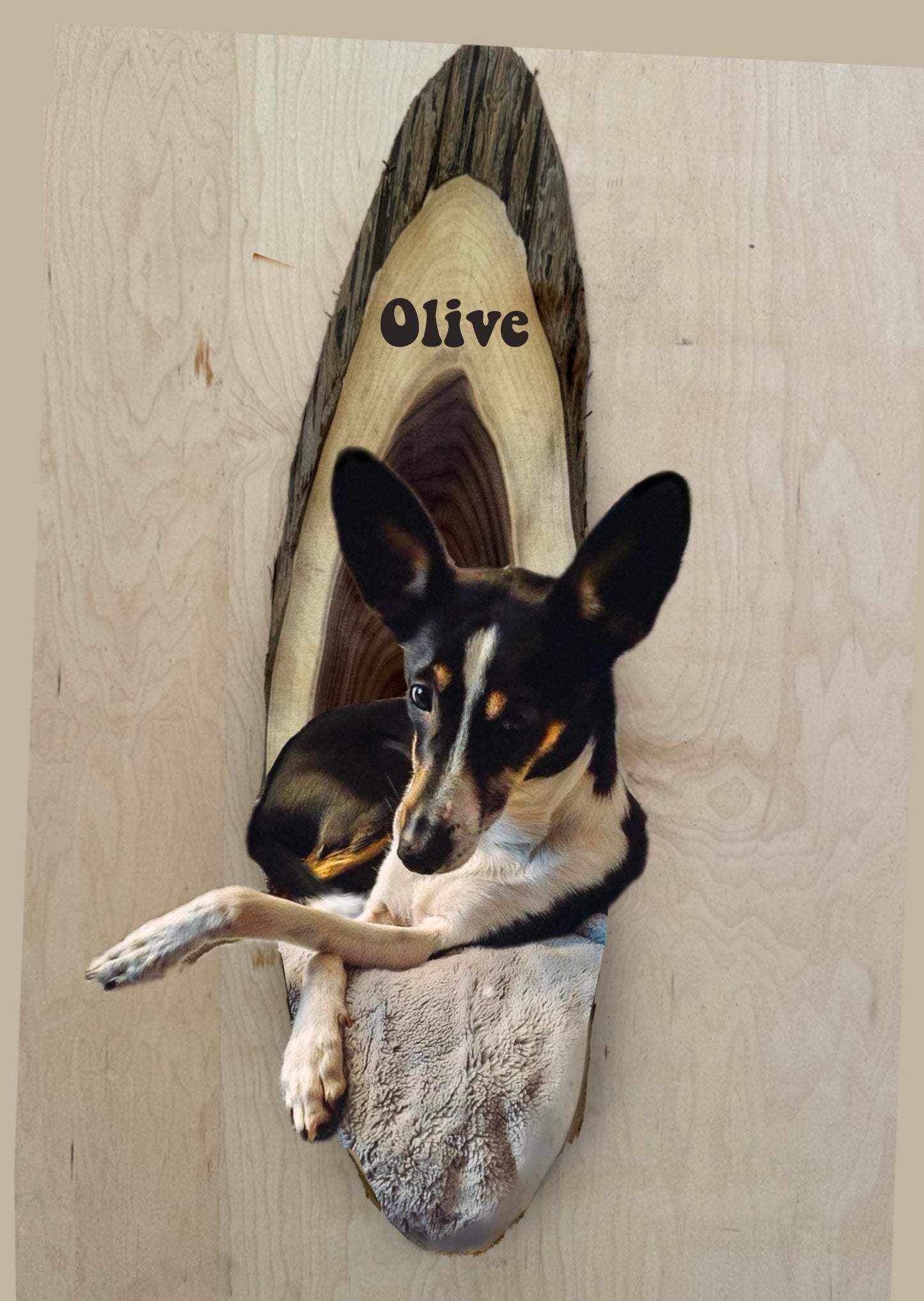 Custom Portrait for Olive deposit #3;