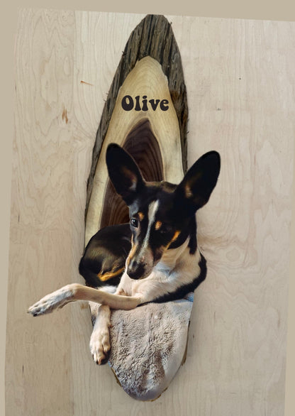 Custom Portrait for Olive deposit #3;