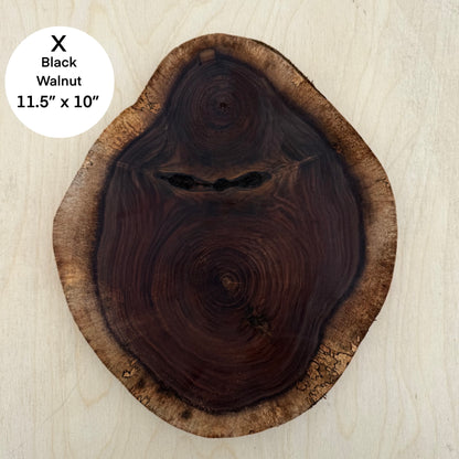 Custom Pet Portrait - On a Live Edge Round (Shipping June 2026)