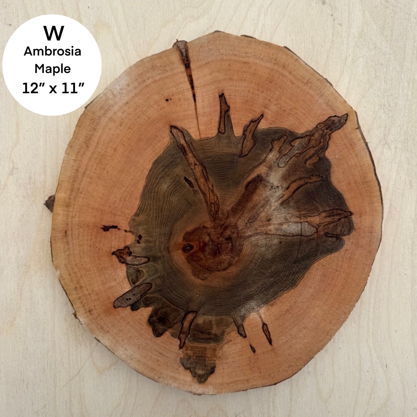 Custom Pet Portrait - On a Live Edge Round (Shipping June 2026)