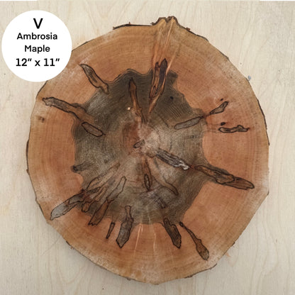 Custom Pet Portrait - On a Live Edge Round (Shipping June 2026)