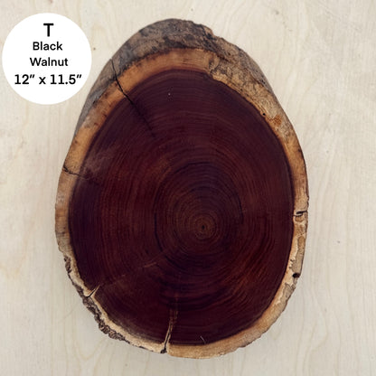 Custom Pet Portrait - On a Live Edge Round (Shipping June 2026)