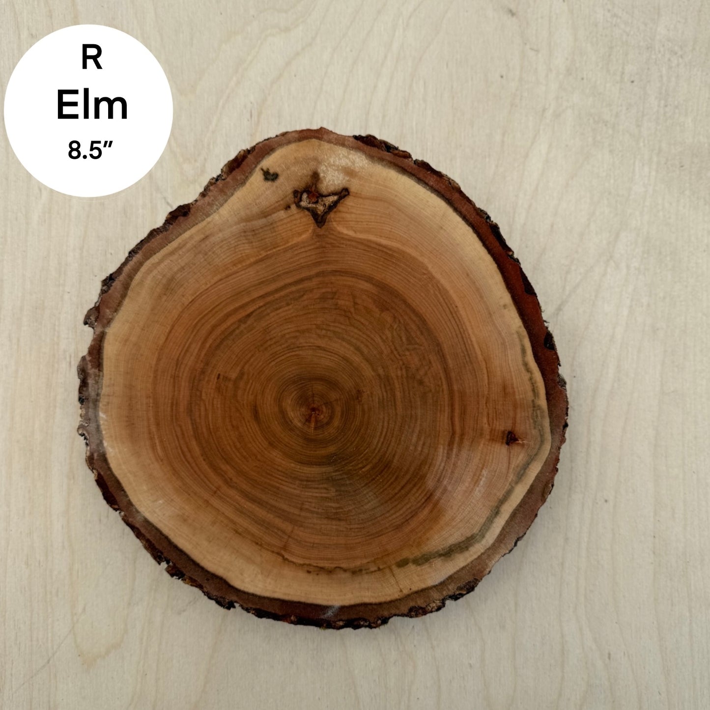 Custom Pet Portrait - On a Live Edge Round (Shipping June 2026)