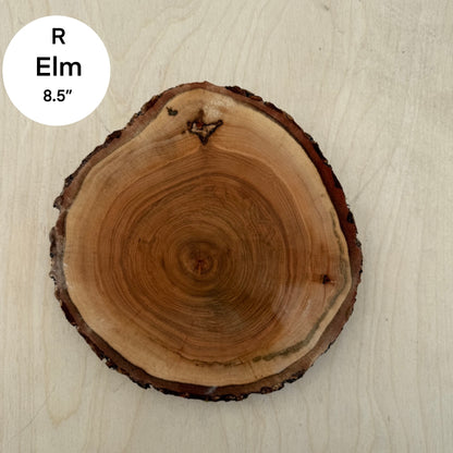 Custom Pet Portrait - On a Live Edge Round (Shipping June 2026)