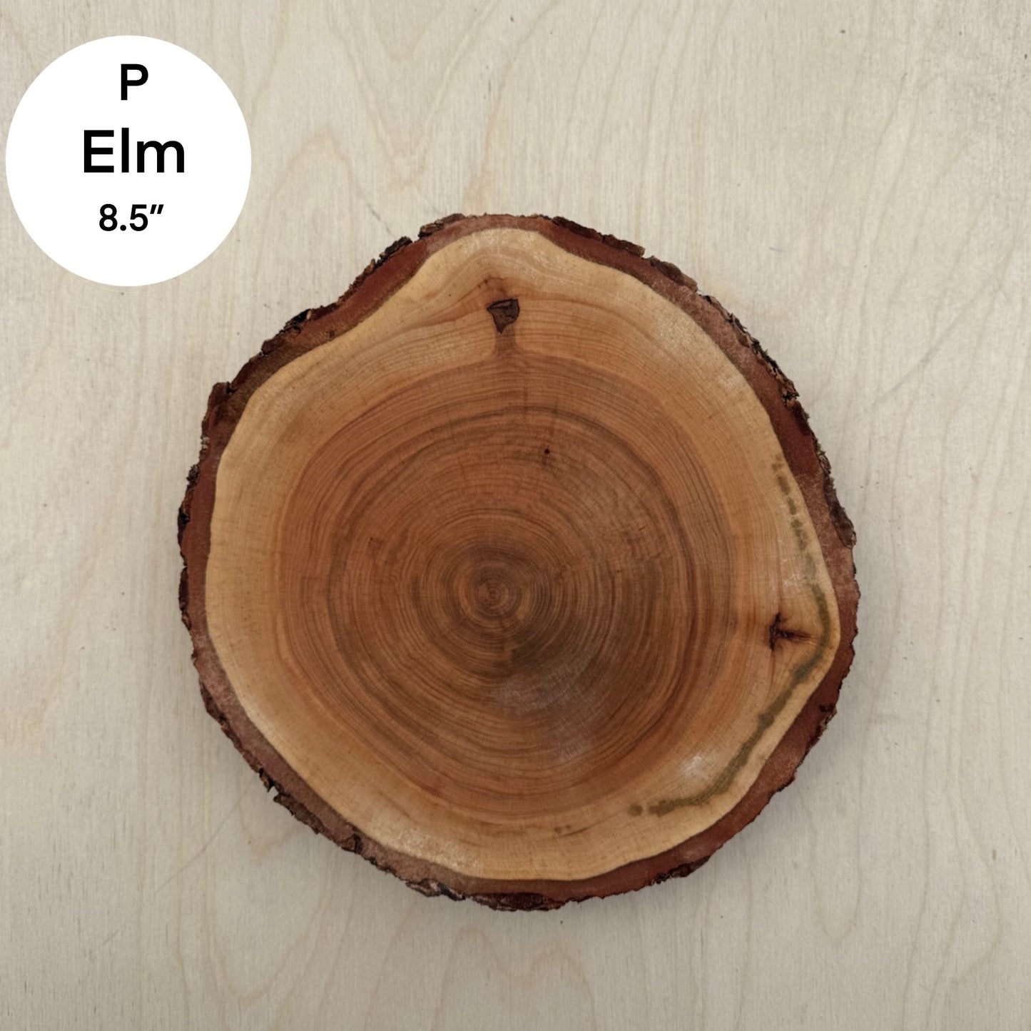 Custom Pet Portrait - On a Live Edge Round (Shipping June 2026)