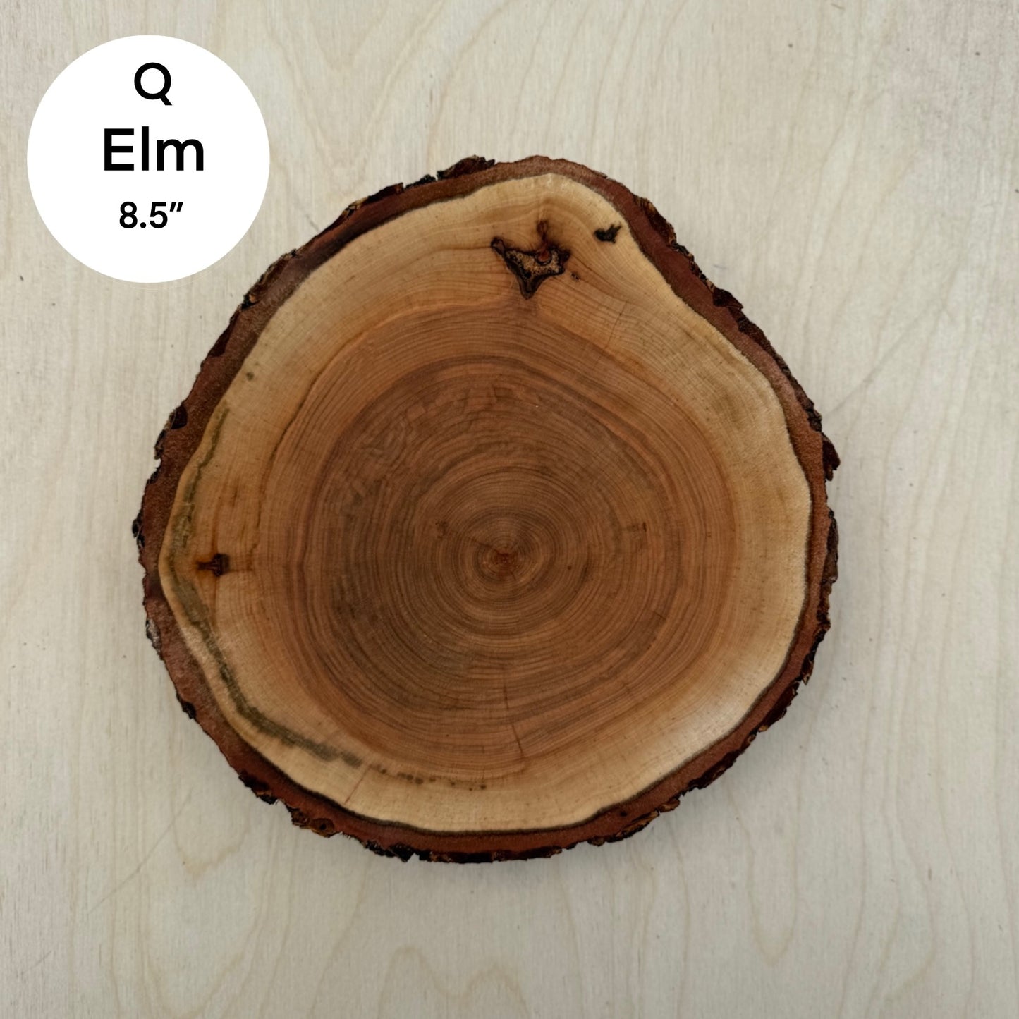 Custom Pet Portrait - On a Live Edge Round (Shipping June 2026)