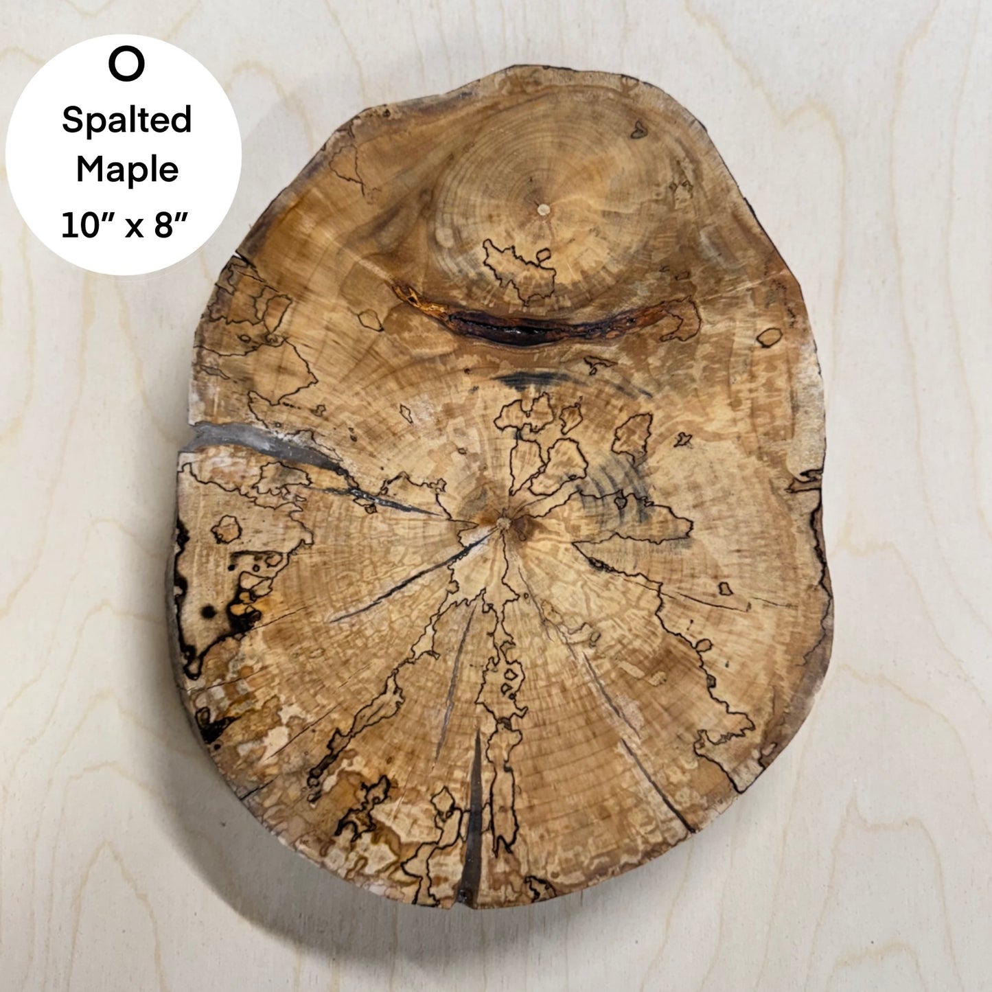 Custom Pet Portrait - On a Live Edge Round (Shipping June 2026)