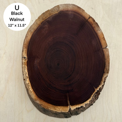 Custom Pet Portrait - On a Live Edge Round (Shipping June 2026)