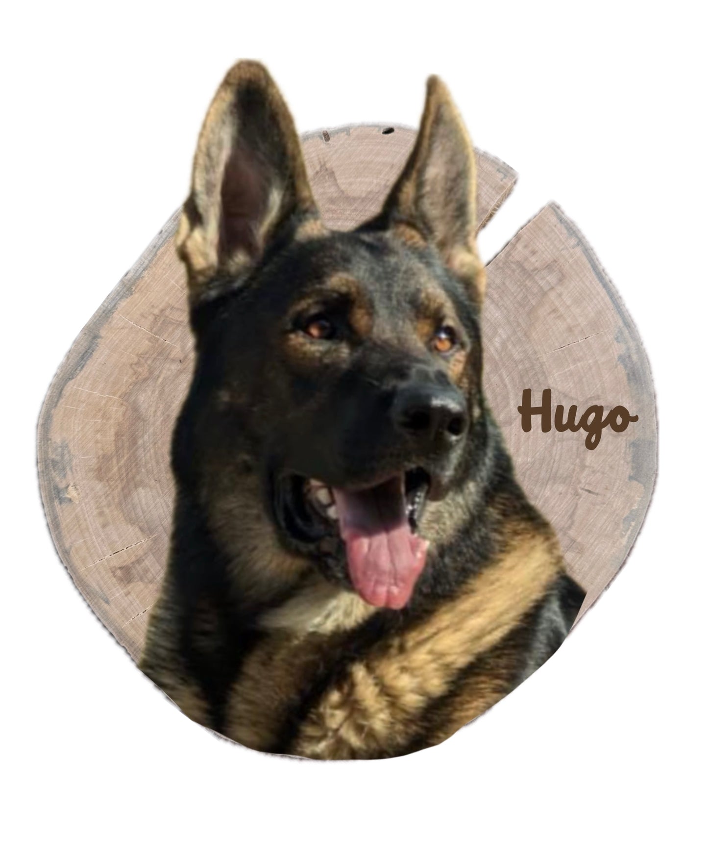 Hugo + Hilde Custom Portraits