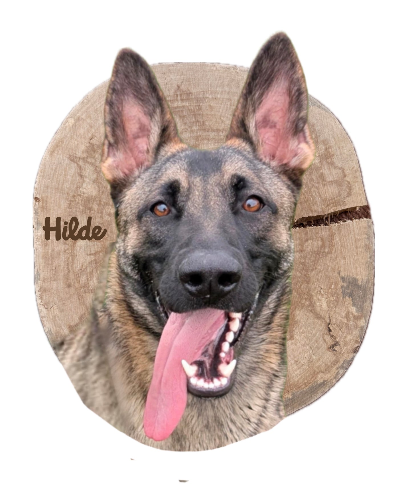Hugo + Hilde Custom Portraits