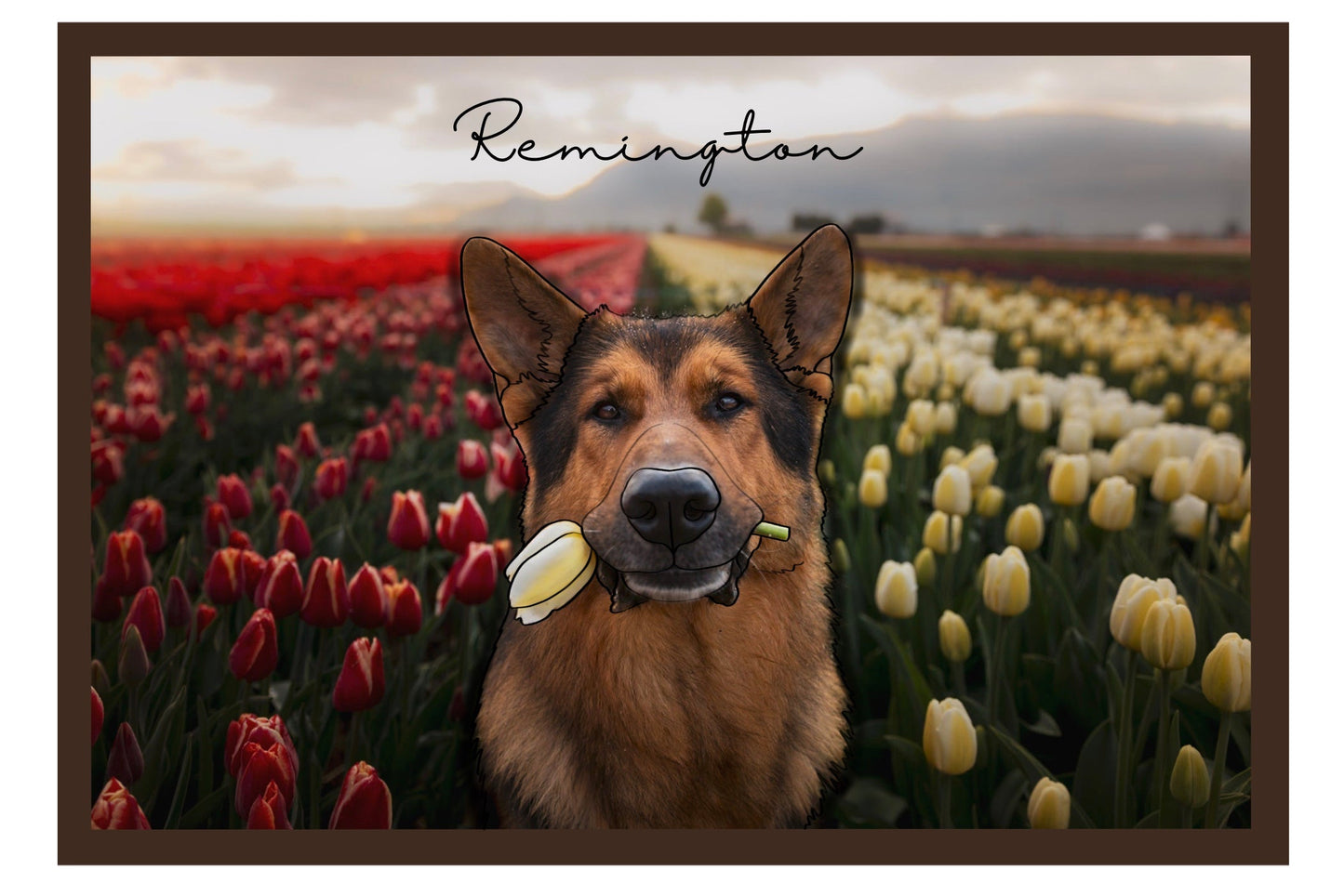 Remington Deposit #1