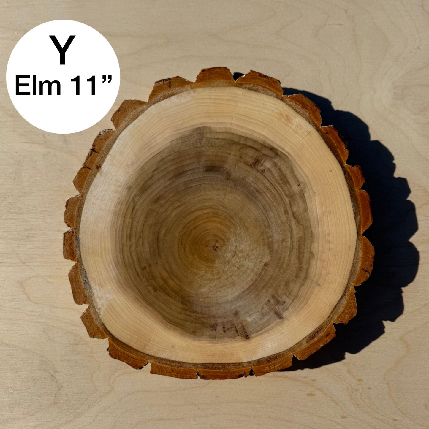 Custom Pet Portrait - On a Live Edge Round (Shipping September 2026)