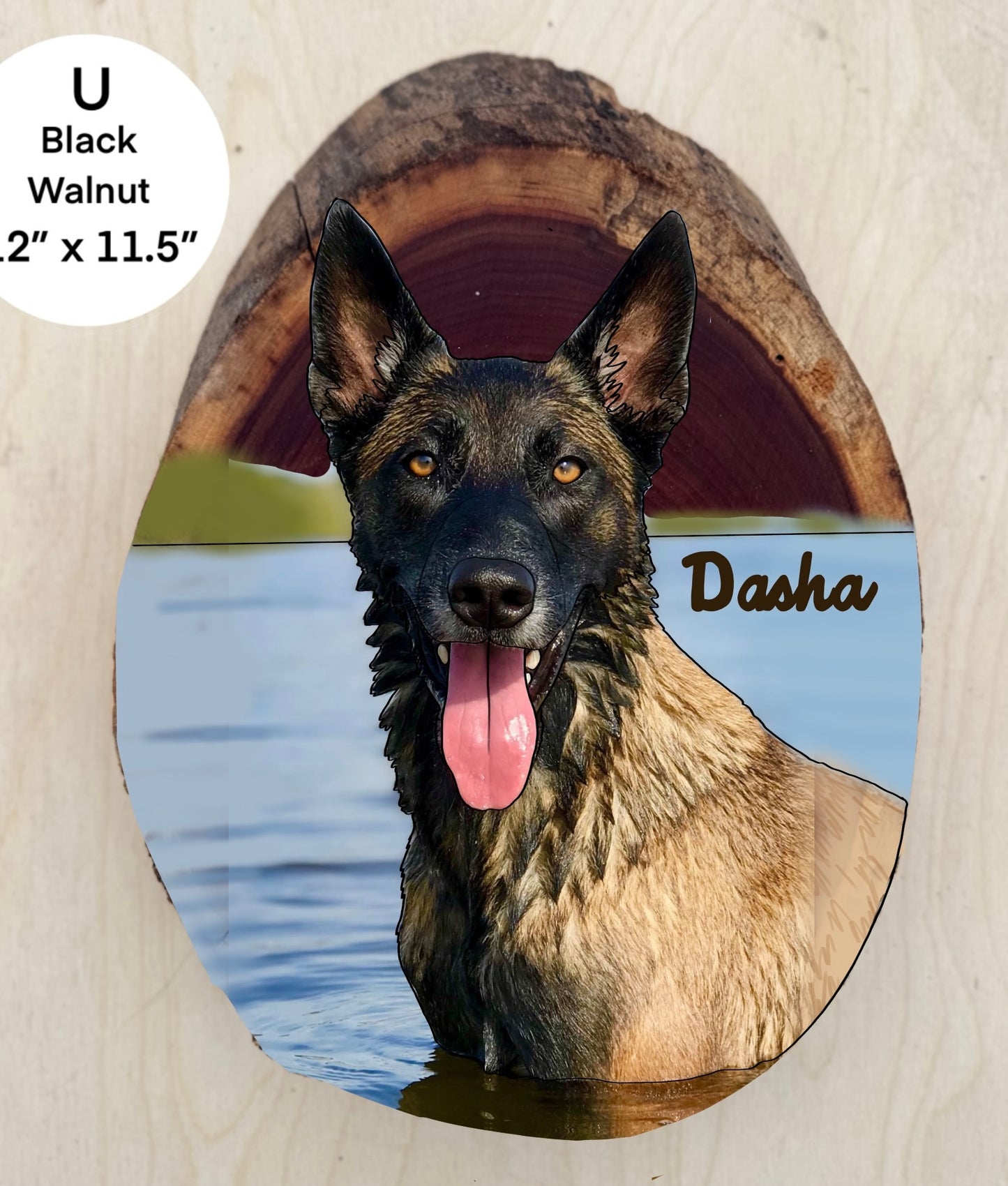 Custom Portrait of Dasha