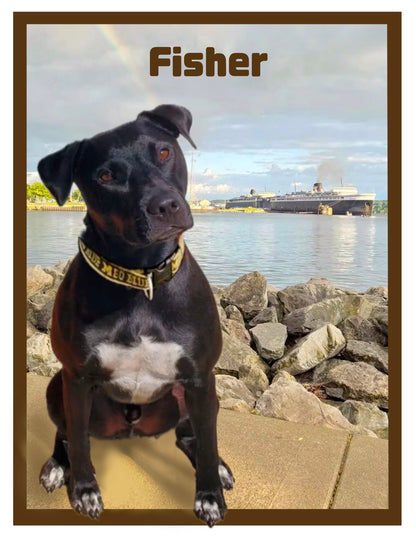 Fisher’s Portrait